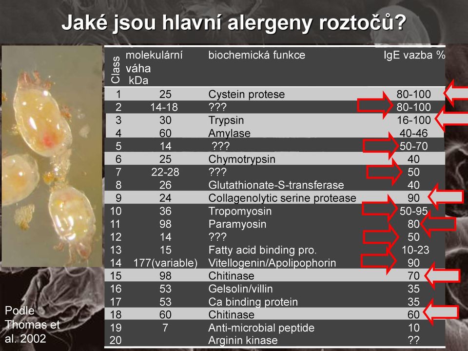 ?? 50-70 6 25 Chymotrypsin 40 7 22-28?