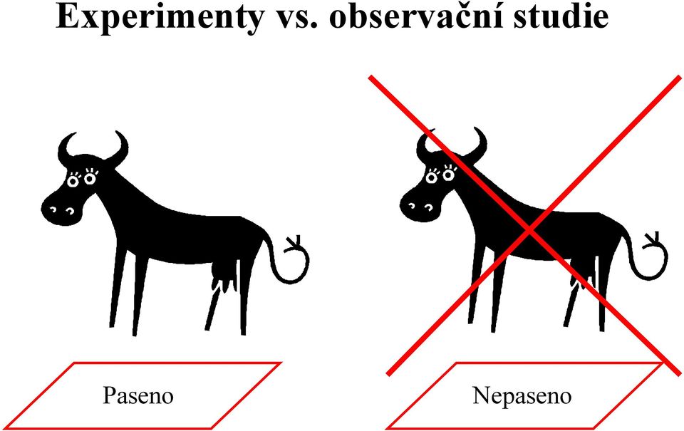 observační