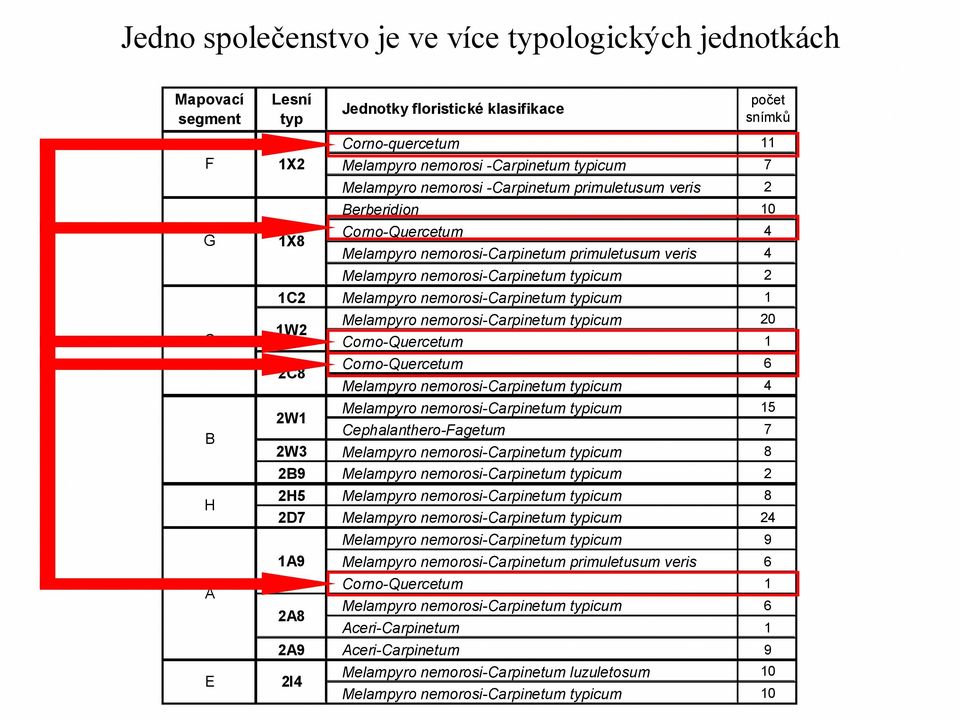 Melampyro nemorosi-carpinetum typicum 20 Corno-Quercetum Corno-Quercetum 6 Melampyro nemorosi-carpinetum typicum 4 Melampyro nemorosi-carpinetum typicum 5 2W Cephalanthero-Fagetum 7 2W3 Melampyro