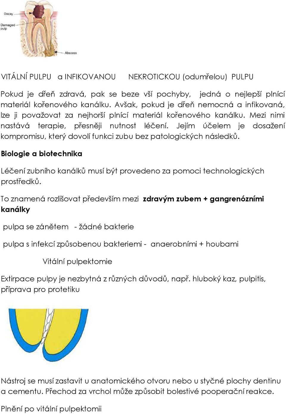 Jejím účelem je dosažení kompromisu, který dovolí funkci zubu bez patologických následků. Biologie a biotechnika Léčení zubního kanálků musí být provedeno za pomoci technologických prostředků.