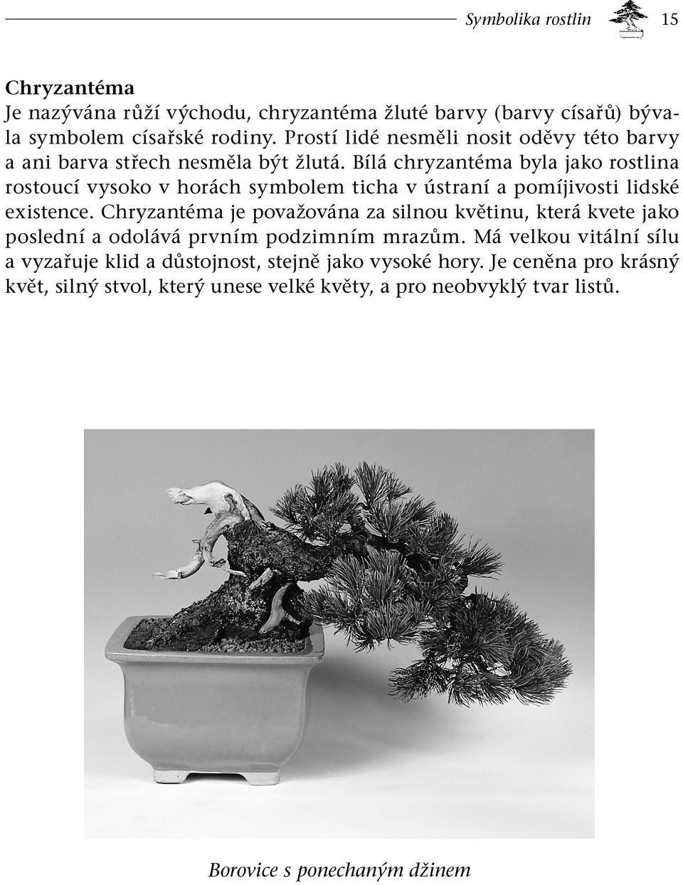 Bílá chryzantéma byla jako rostlina rostoucí vysoko v horách symbolem ticha v ústraní a pomíjivosti lidské existence.