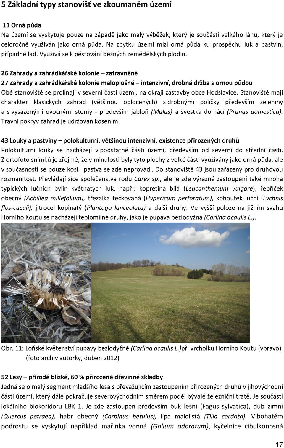 26 Zahrady a zahrádkářské kolonie zatravněné 27 Zahrady a zahrádkářské kolonie maloplošné intenzivní, drobná držba s ornou půdou Obě stanoviště se prolínají v severní části území, na okraji zástavby