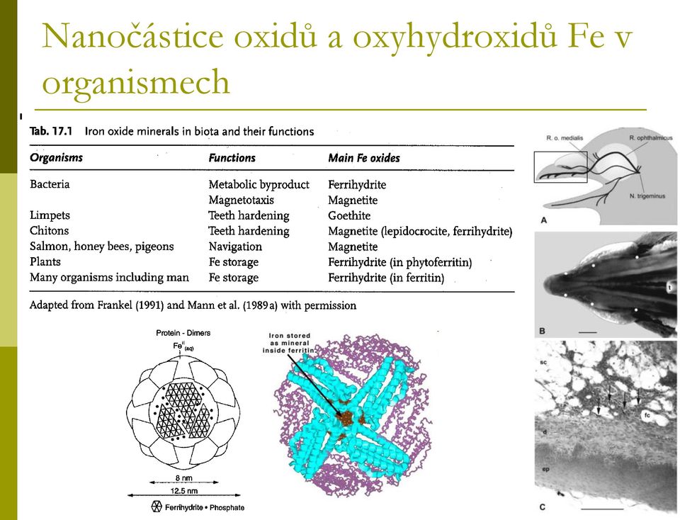 oxyhydroxidů