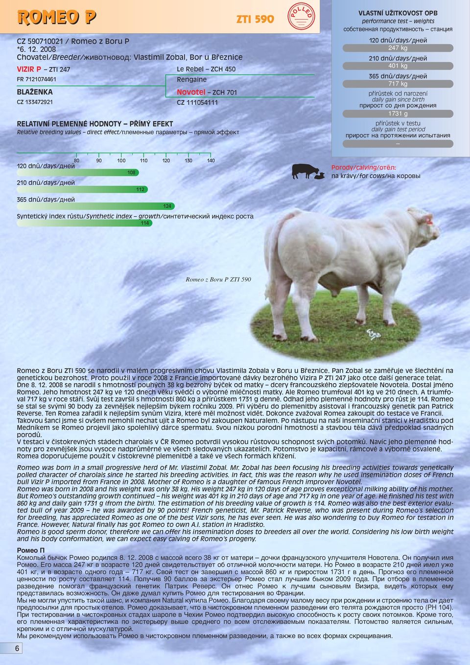 kg 1731 g 108 114 112 124 na krávy/for cows/ì ÍÓappleÓ Romeo z Boru P ZTI 590 Romeo z Boru ZTI 590 se narodil v malém progresivním chovu Vlastimila Zobala v Boru u Bfieznice.