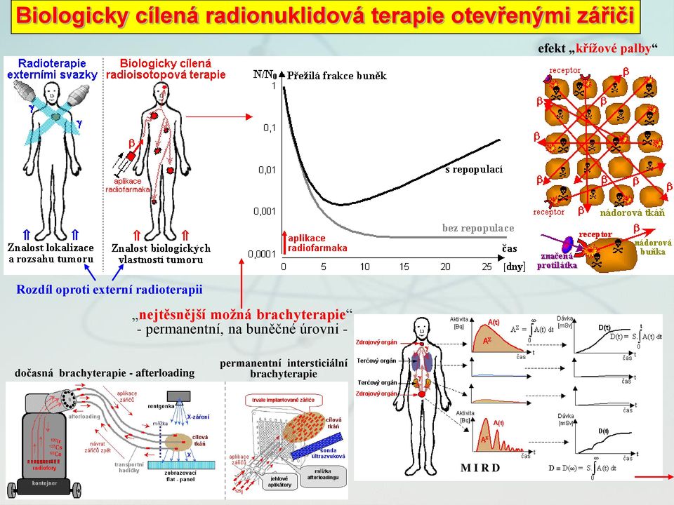 brachyterapie - permanentní, na buněčné úrovni - dočasná