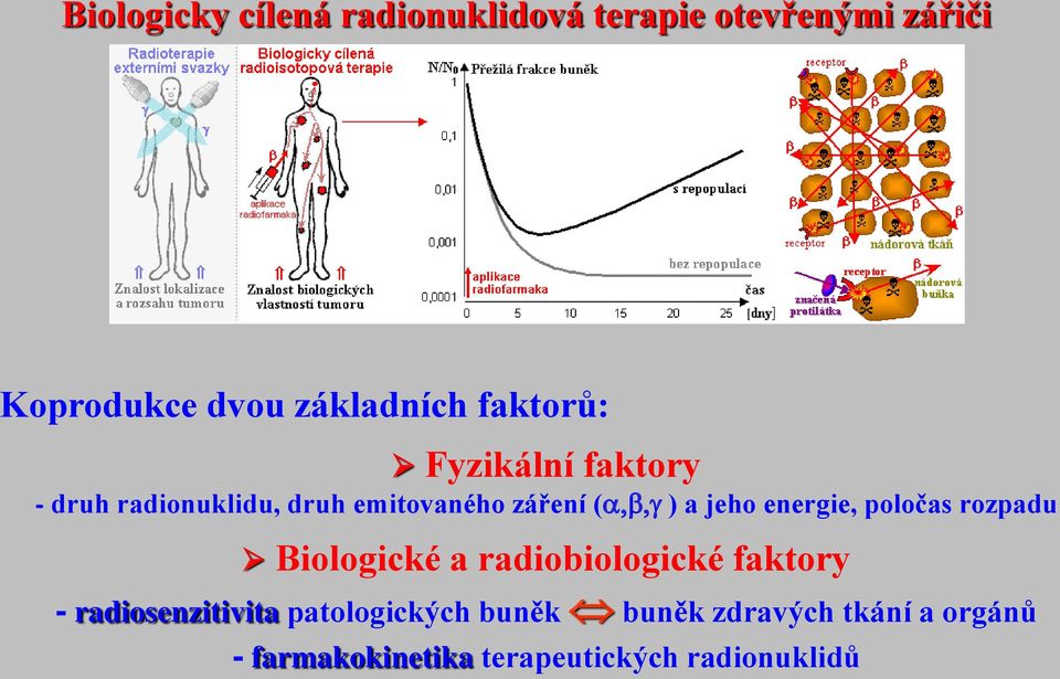 energie, poločas rozpadu Biologické a radiobiologické faktory - radiosenzitivita
