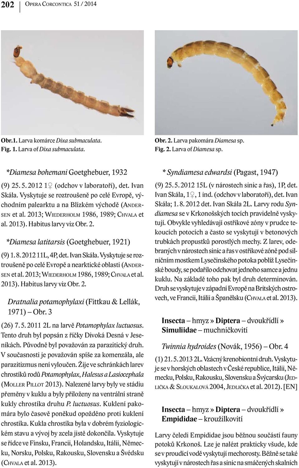 2013; Wiederholm 1986, 1989; Chvala et al. 2013). Habitus larvy viz Obr. 2. *Diamesa latitarsis (Goetghebuer, 1921) (9) 1. 8. 2012 11L, 4P, det. Ivan Skála.