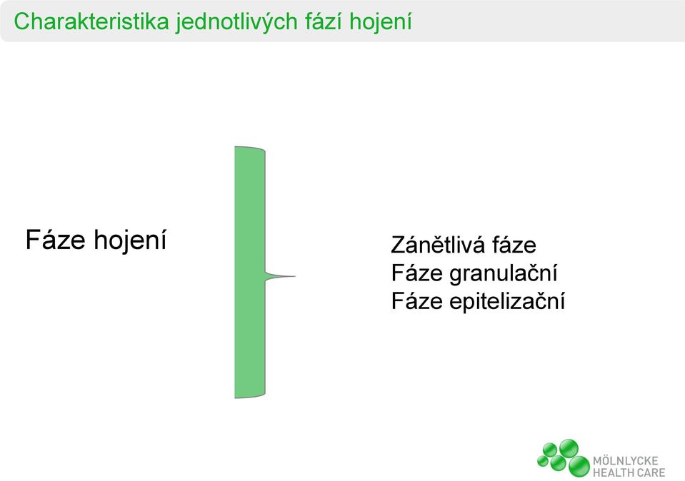 Fáze hojení Zánětlivá