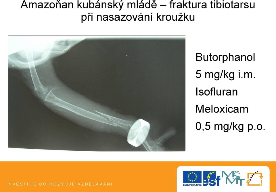 nasazování kroužku Butorphanol