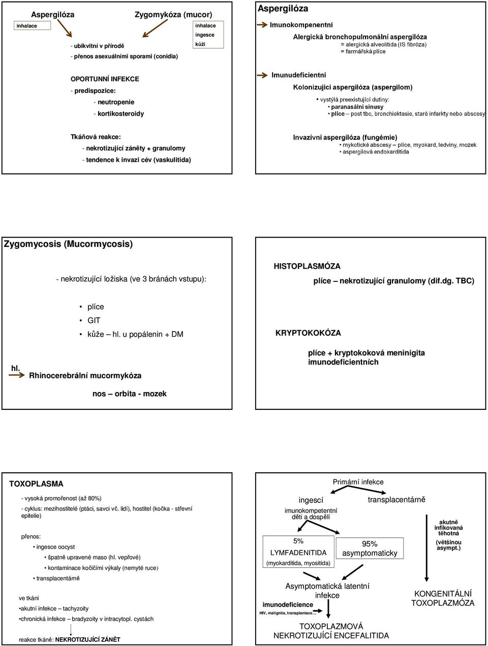 HISTOPLASMÓZA plíce nekrotizující granulomy (dif( dif.dg. TBC) hl. plíce GIT kůže hl.