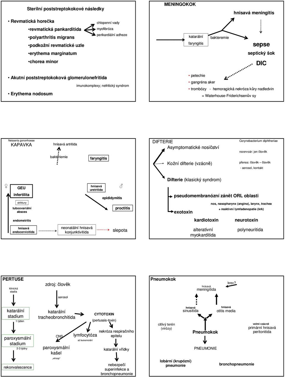 aker trombózy - hemoragická nekróza kůry k nadledvin = Waterhouse-Friderichsen Friderichsenův sy Neisseria gonorrhoeae KAPAVKA artritida bakteriemie faryngitis DIFTERIE Asymptomatické nosičstv ství