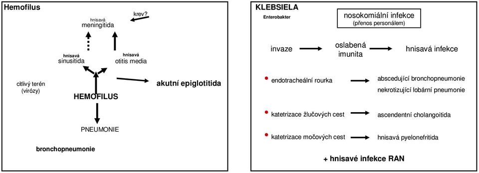 oslabená imunita infekce citlivý terén (virózy) HEMOFILUS akutní epiglotitida endotracheáln rourka