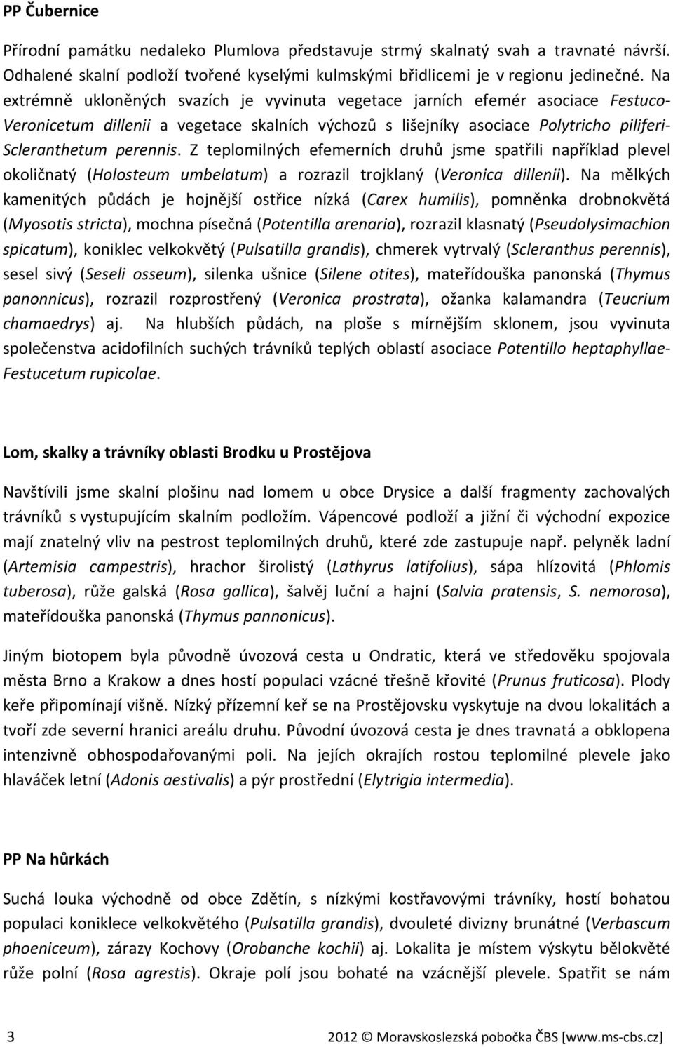 Z teplomilných efemerních druhů jsme spatřili například plevel okoličnatý (Holosteum umbelatum) a rozrazil trojklaný (Veronica dillenii).