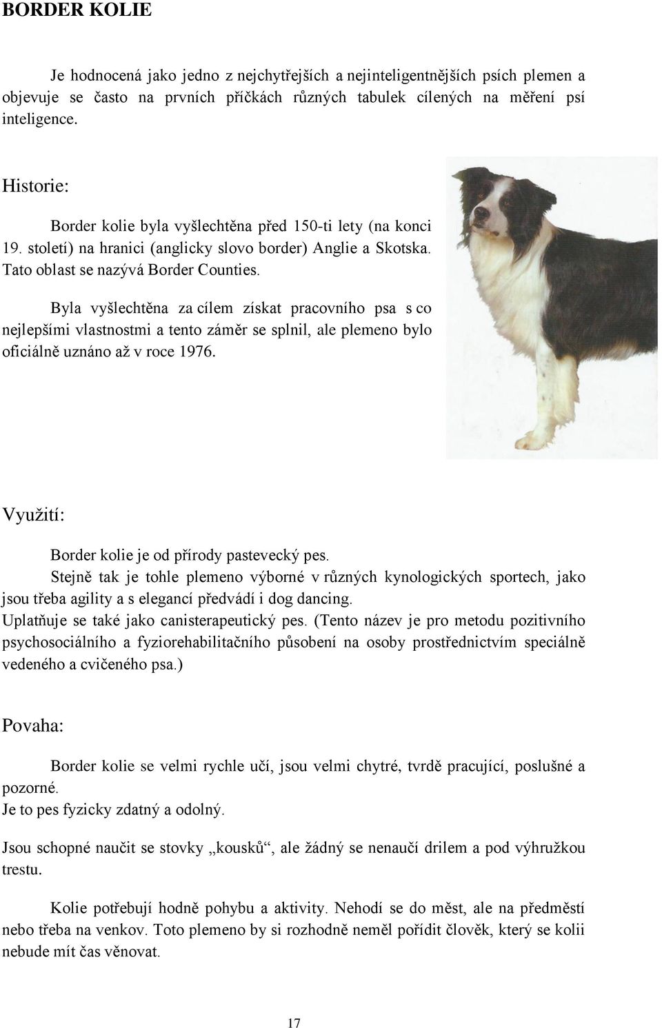 Byla vyšlechtěna za cílem získat pracovního psa s co nejlepšími vlastnostmi a tento záměr se splnil, ale plemeno bylo oficiálně uznáno až v roce 1976.