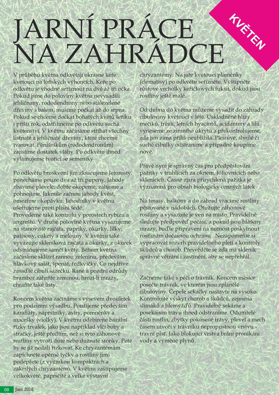 Pokud se chceme dočkat bohatých květů šeříku i příští rok, odstřihneme po odkvětu suchá květenství. V květnu začínáme stříhat všechny listnaté a jehličnaté dřeviny, které chceme tvarovat.