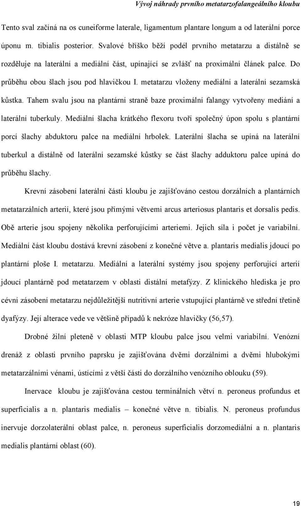 metatarzu vloženy mediální a laterální sezamská kůstka. Tahem svalu jsou na plantární straně baze proximální falangy vytvořeny mediání a laterální tuberkuly.