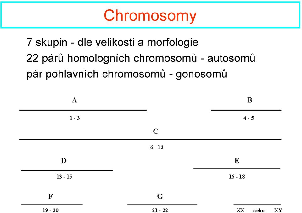 homologních chromosomů -