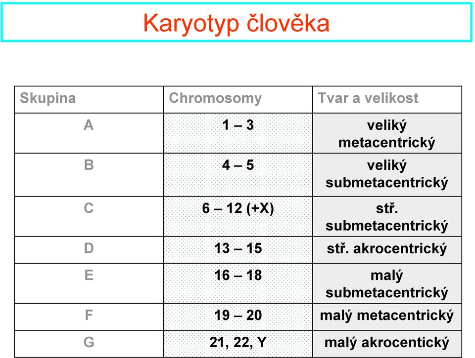 stř. submetacentrický D 13 15 stř.