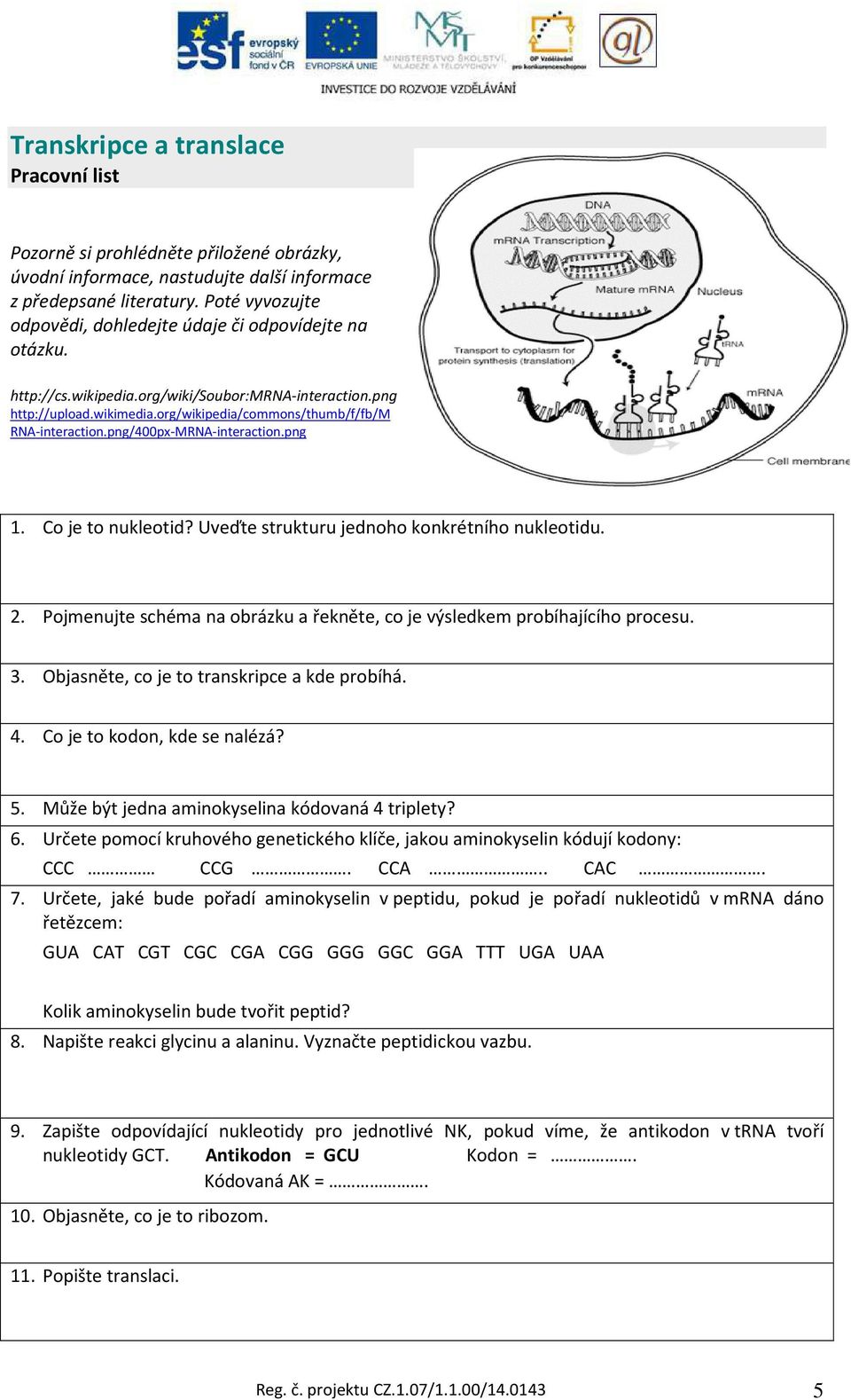 png/400px-MRNA-interaction.png 1. Co je to nukleotid? Uveďte strukturu jednoho konkrétního nukleotidu. 2. Pojmenujte schéma na obrázku a řekněte, co je výsledkem probíhajícího procesu. 3.