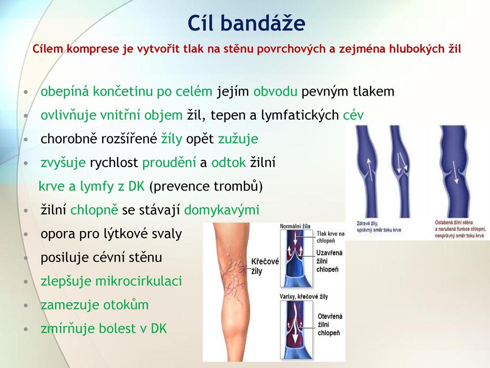 opět zužuje zvyšuje rychlost proudění a odtok žilní krve a lymfy z DK (prevence trombů) žilní chlopně se stávají