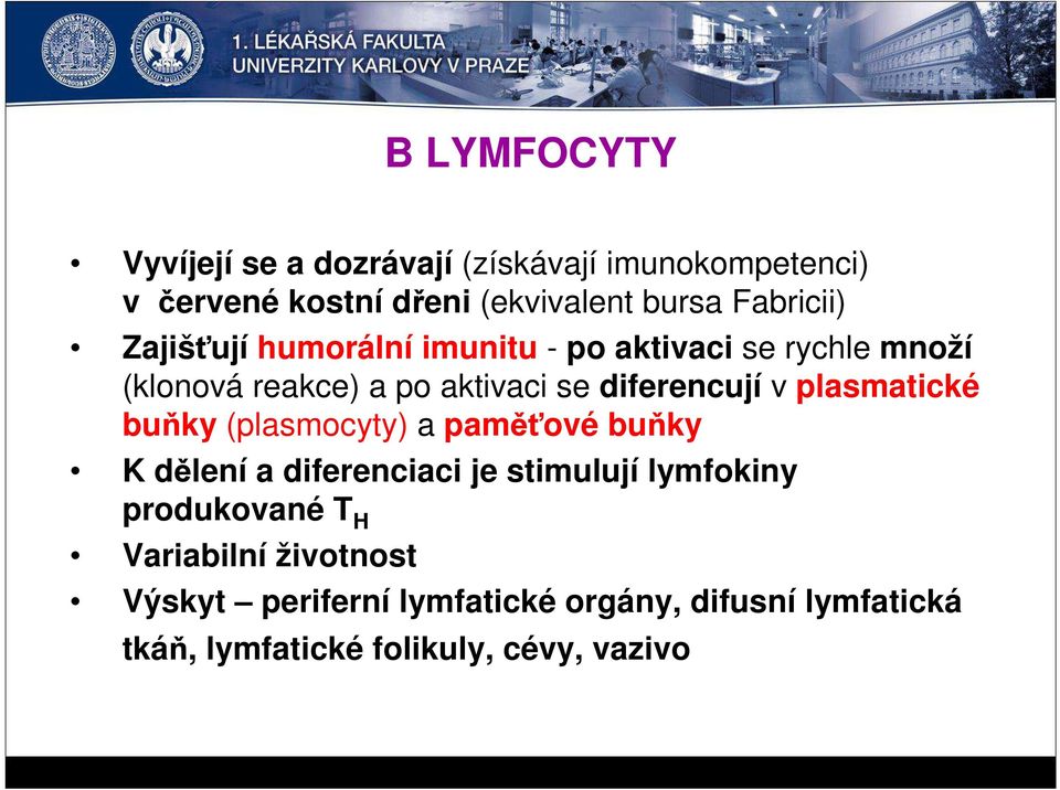 diferencují v plasmatické buňky (plasmocyty) a paměťové buňky K dělení a diferenciaci je stimulují lymfokiny