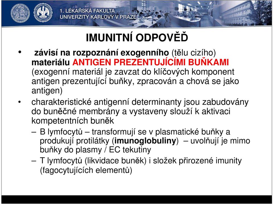 do buněčné membrány a vystaveny slouží k aktivaci kompetentních buněk B lymfocytů transformují se v plasmatické buňky a produkují protilátky