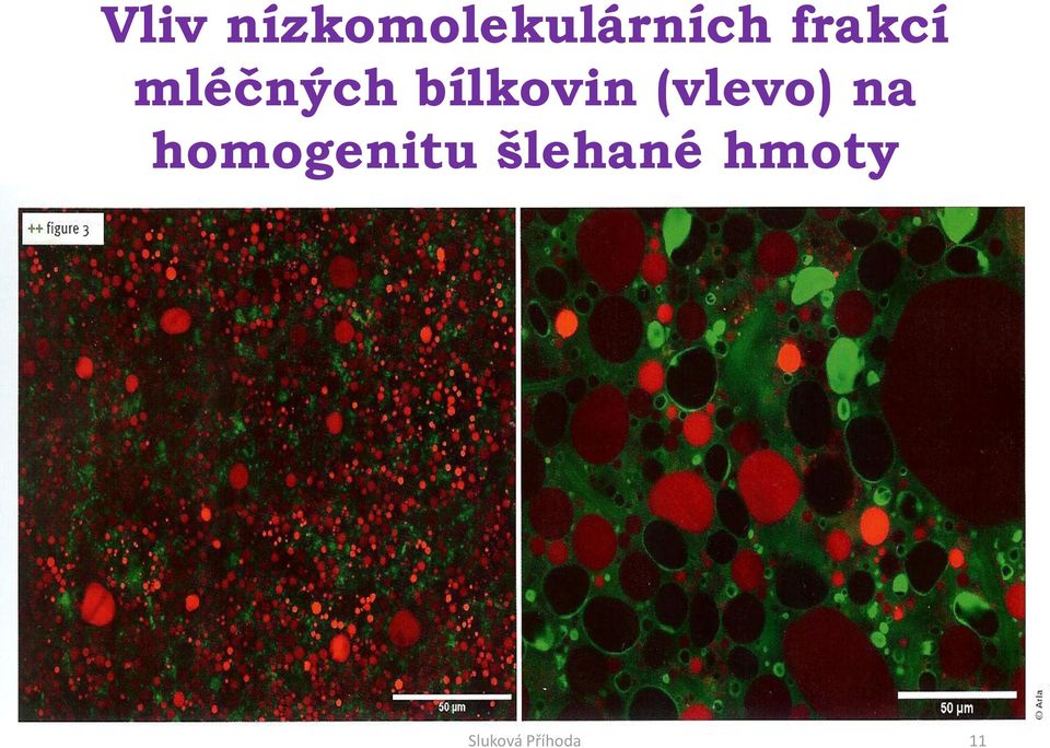 (vlevo) na homogenitu