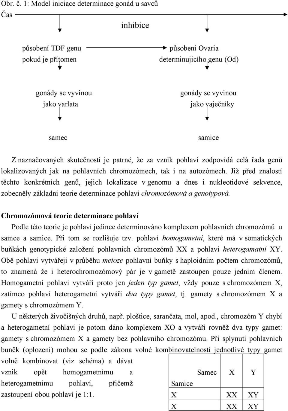 samec samice Z naznačovaných skutečností je patrné, že za vznik pohlaví zodpovídá celá řada genů lokalizovaných jak na pohlavních chromozómech, tak i na autozómech.