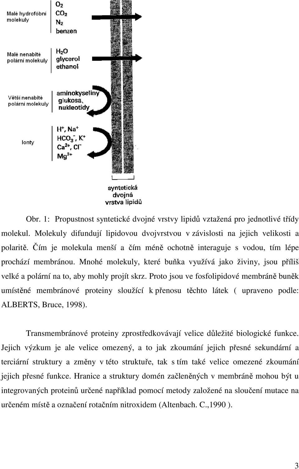 Proto jsou ve fosfolipidové membráně buněk umístěné membránové proteiny sloužící k přenosu těchto látek ( upraveno podle: ALBERTS, Bruce, 1998).