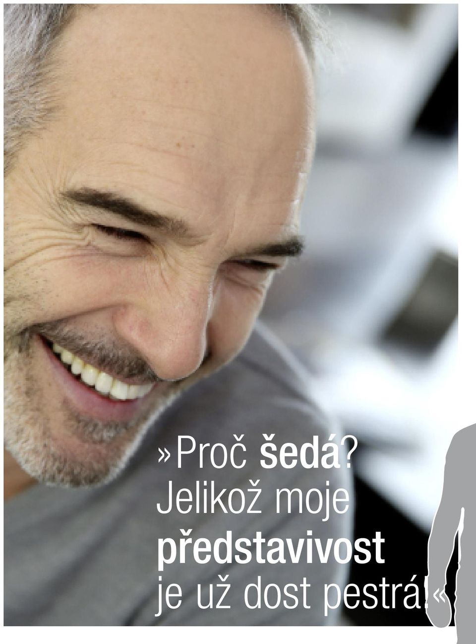 představivost