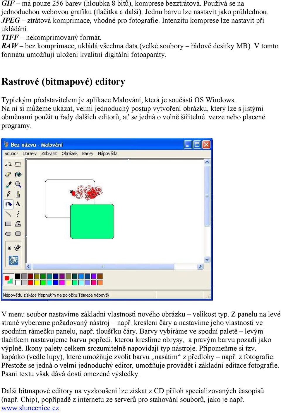 V tomto formátu umožňují uložení kvalitní digitální fotoaparáty. Rastrové (bitmapové) editory Typickým představitelem je aplikace Malování, která je součástí OS Windows.