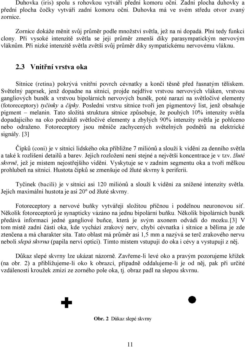 Při nízké intenzitě světla zvětší svůj průměr díky sympatickému nervovému vláknu. 2.3 Vnitřní vrstva oka Sítnice (retina) pokrývá vnitřní povrch cévnatky a končí těsně před řasnatým tělískem.