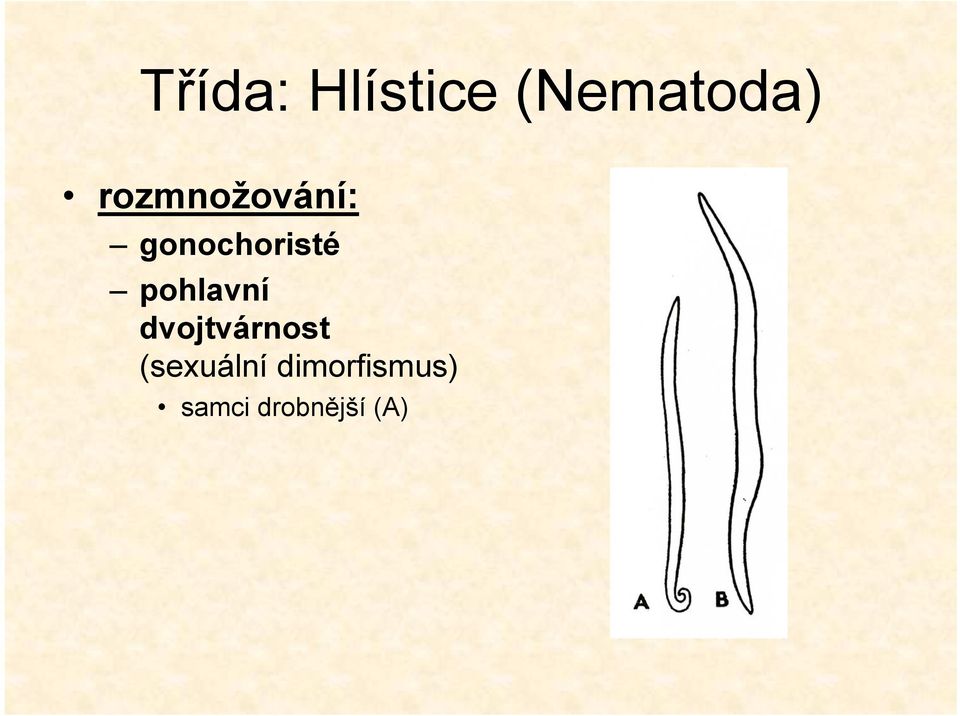 pohlavní dvojtvárnost