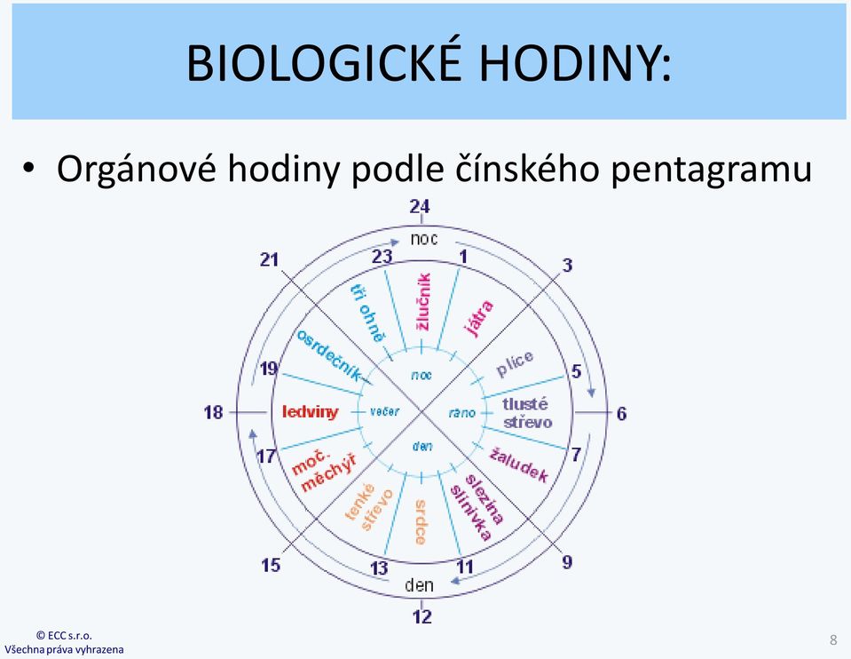 Orgánové hodiny