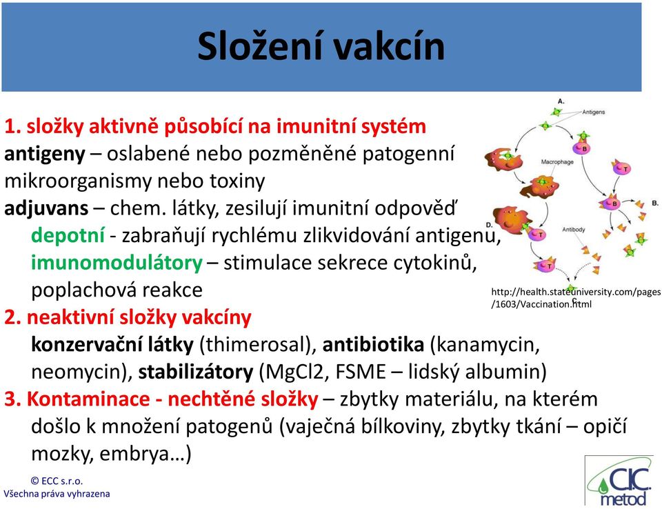 neaktivní složky vakcíny konzervační látky (thimerosal), antibiotika (kanamycin, neomycin), stabilizátory (MgCl2, FSME lidský albumin) 3.