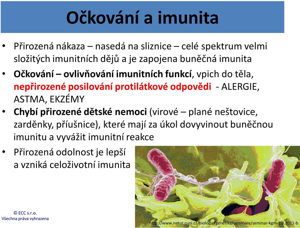 přirozené dětské nemoci (virové plané neštovice, zarděnky, příušnice), které mají za úkol dovyvinout buněčnou imunitu a vyvážit