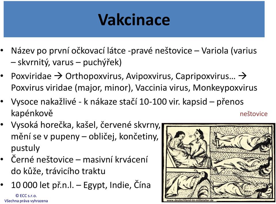 - k nákaze stačí 10-100 vir.