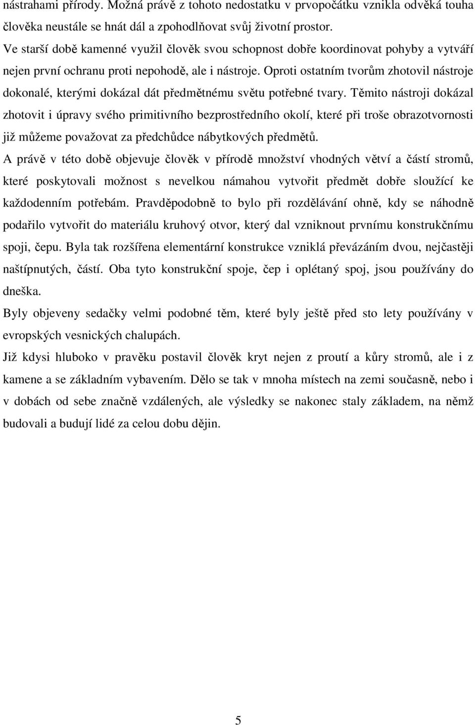 Oproti ostatním tvorům zhotovil nástroje dokonalé, kterými dokázal dát předmětnému světu potřebné tvary.