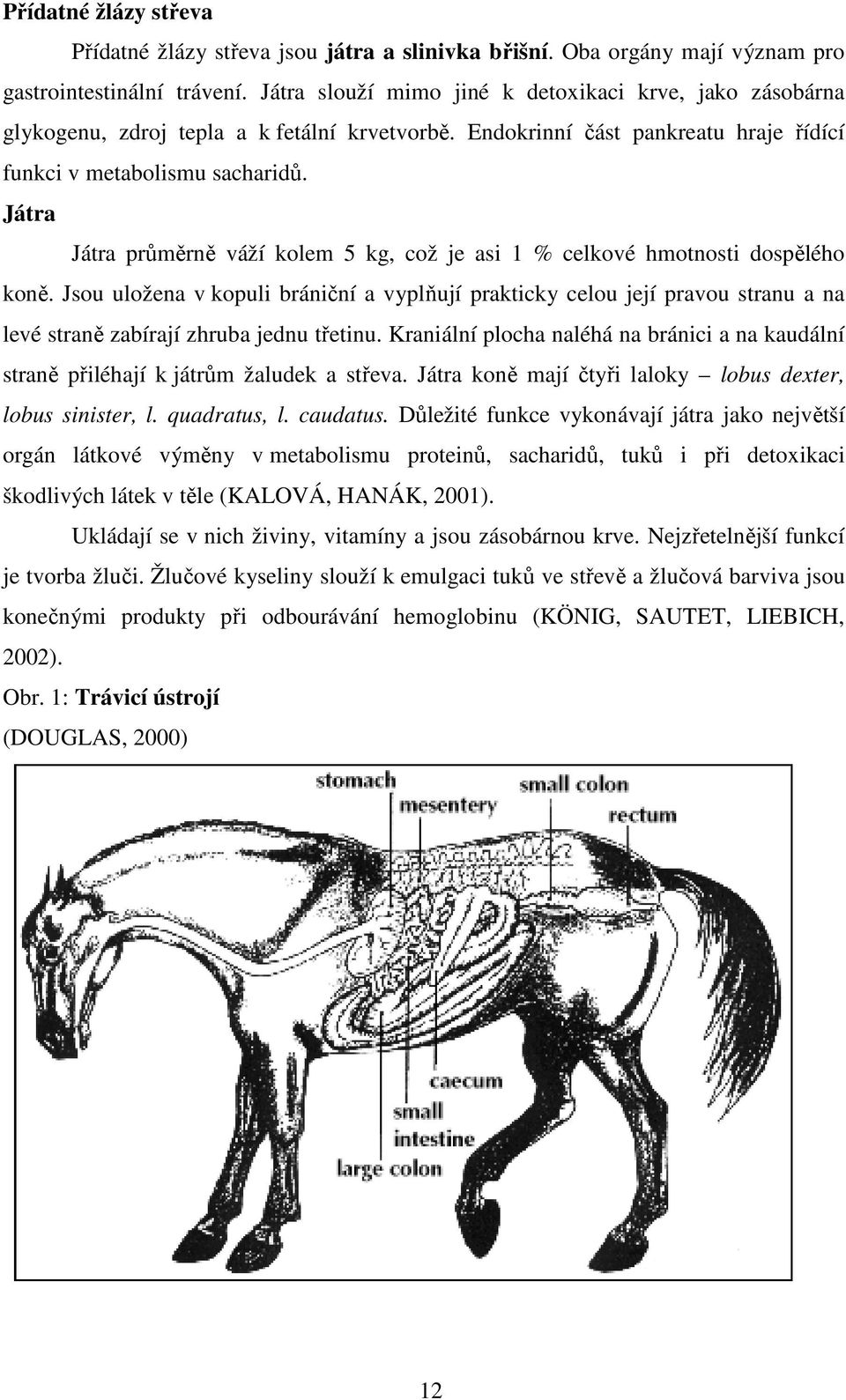 Játra Játra průměrně váží kolem 5 kg, což je asi 1 % celkové hmotnosti dospělého koně.