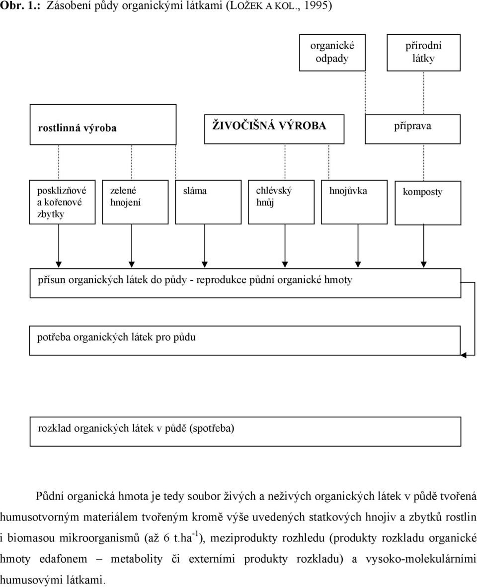látek do půdy - reprodukce půdní organické hmoty potřeba organických látek pro půdu rozklad organických látek v půdě (spotřeba) Půdní organická hmota je tedy soubor živých a neživých