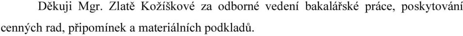 vedení bakalářské práce,