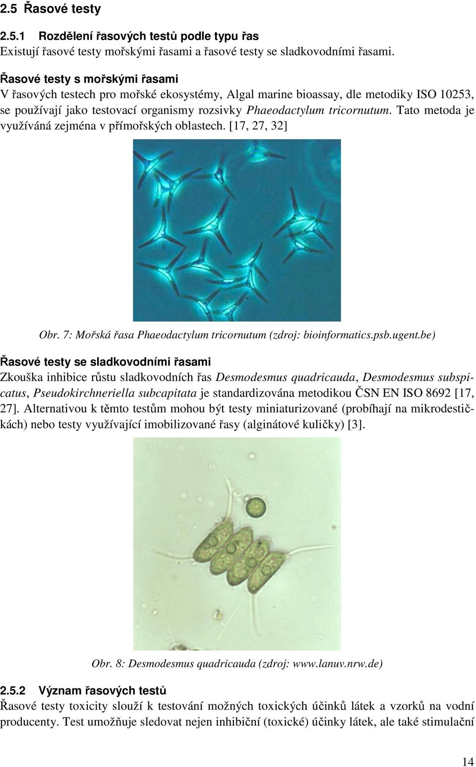 Tato metoda je využíváná zejména v přímořských oblastech. [17, 27, 32] Obr. 7: Mořská řasa Phaeodactylum tricornutum (zdroj: bioinformatics.psb.ugent.