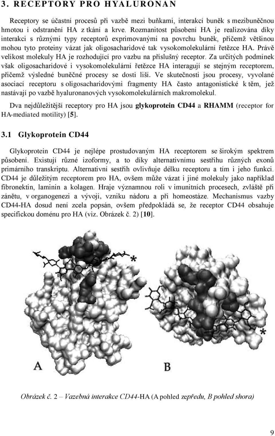 řetězce HA. Právě velikost molekuly HA je rozhodující pro vazbu na příslušný receptor.