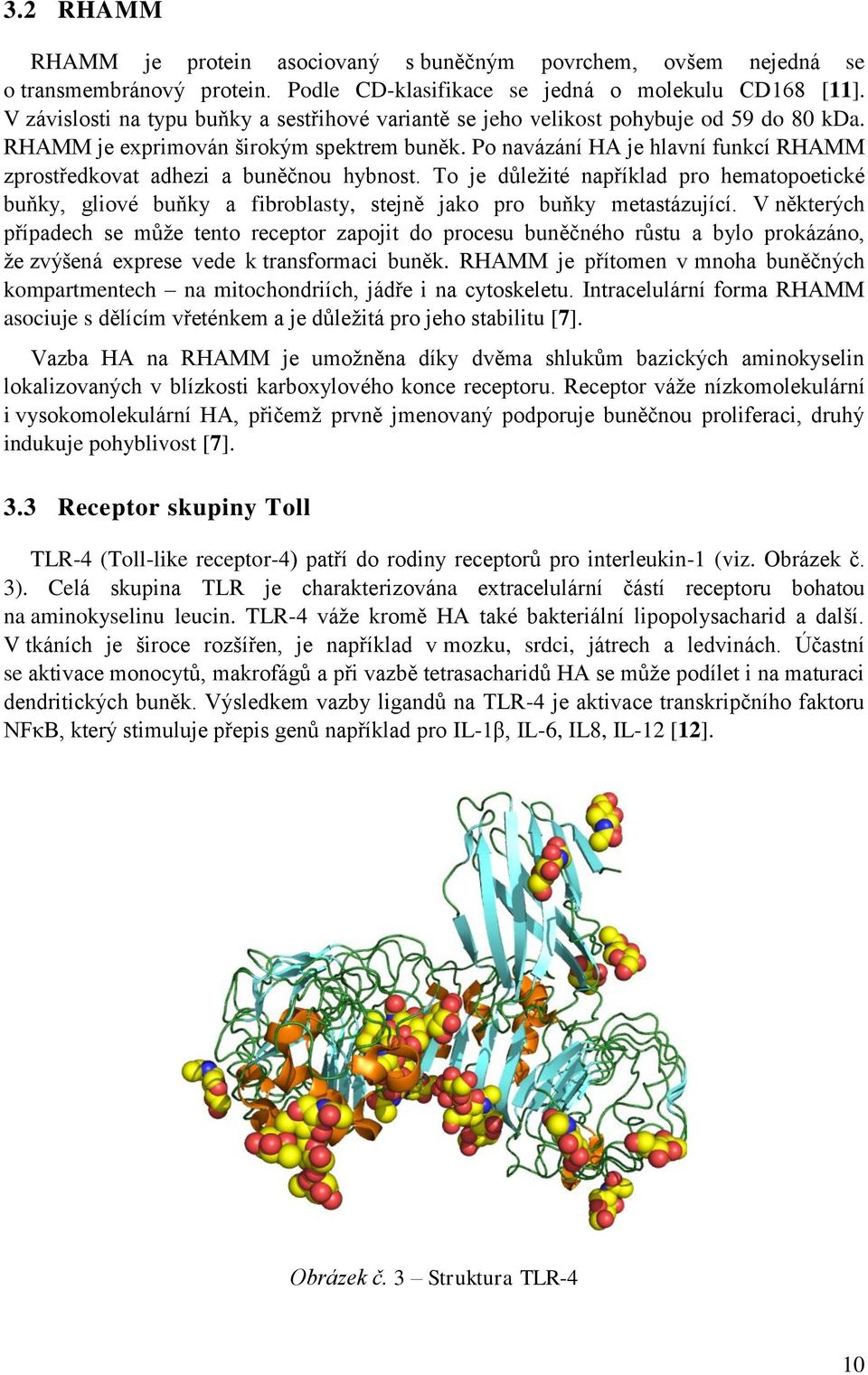 Po navázání HA je hlavní funkcí RHAMM zprostředkovat adhezi a buněčnou hybnost. To je důleţité například pro hematopoetické buňky, gliové buňky a fibroblasty, stejně jako pro buňky metastázující.