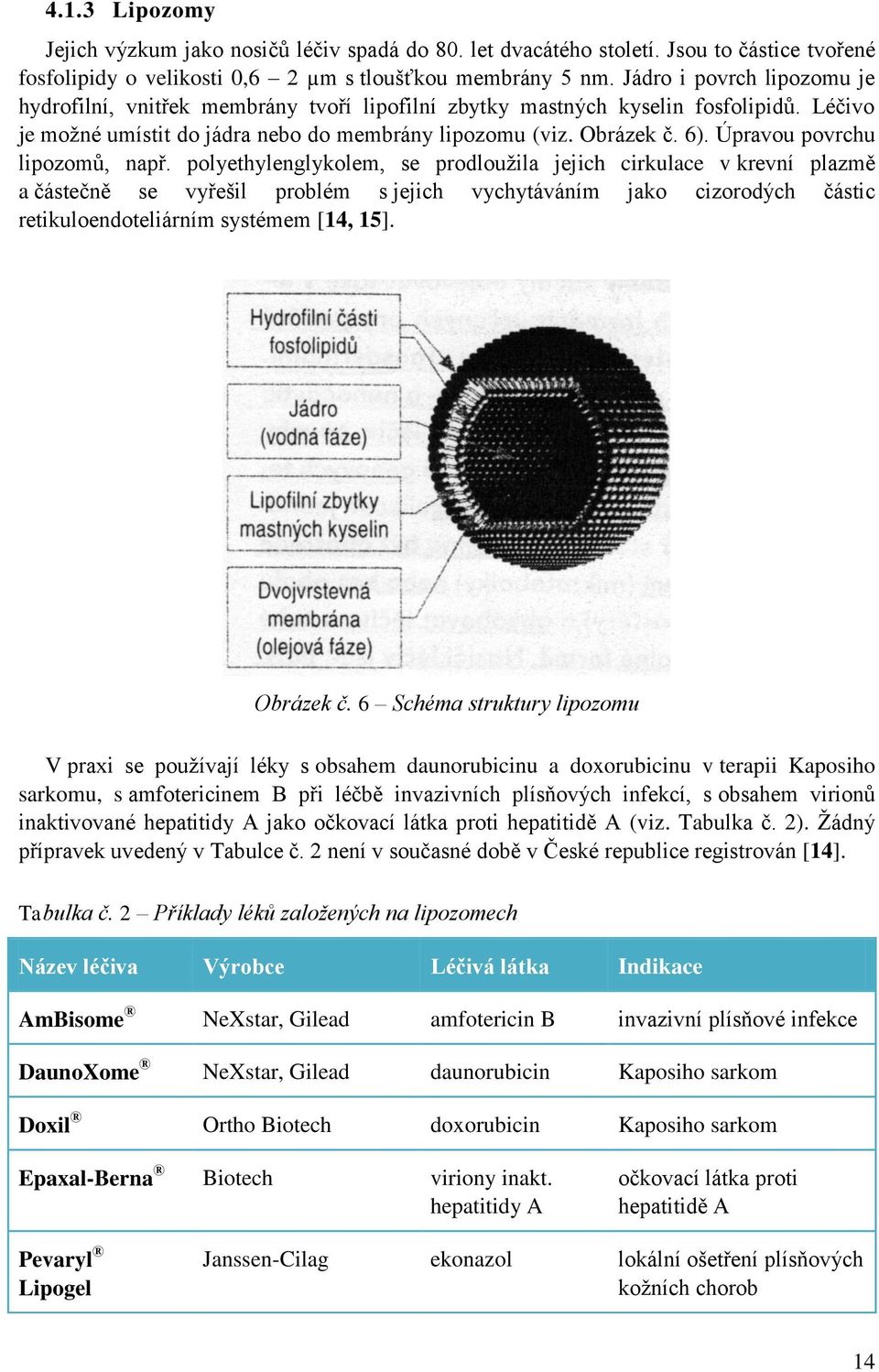 Úpravou povrchu lipozomů, např.