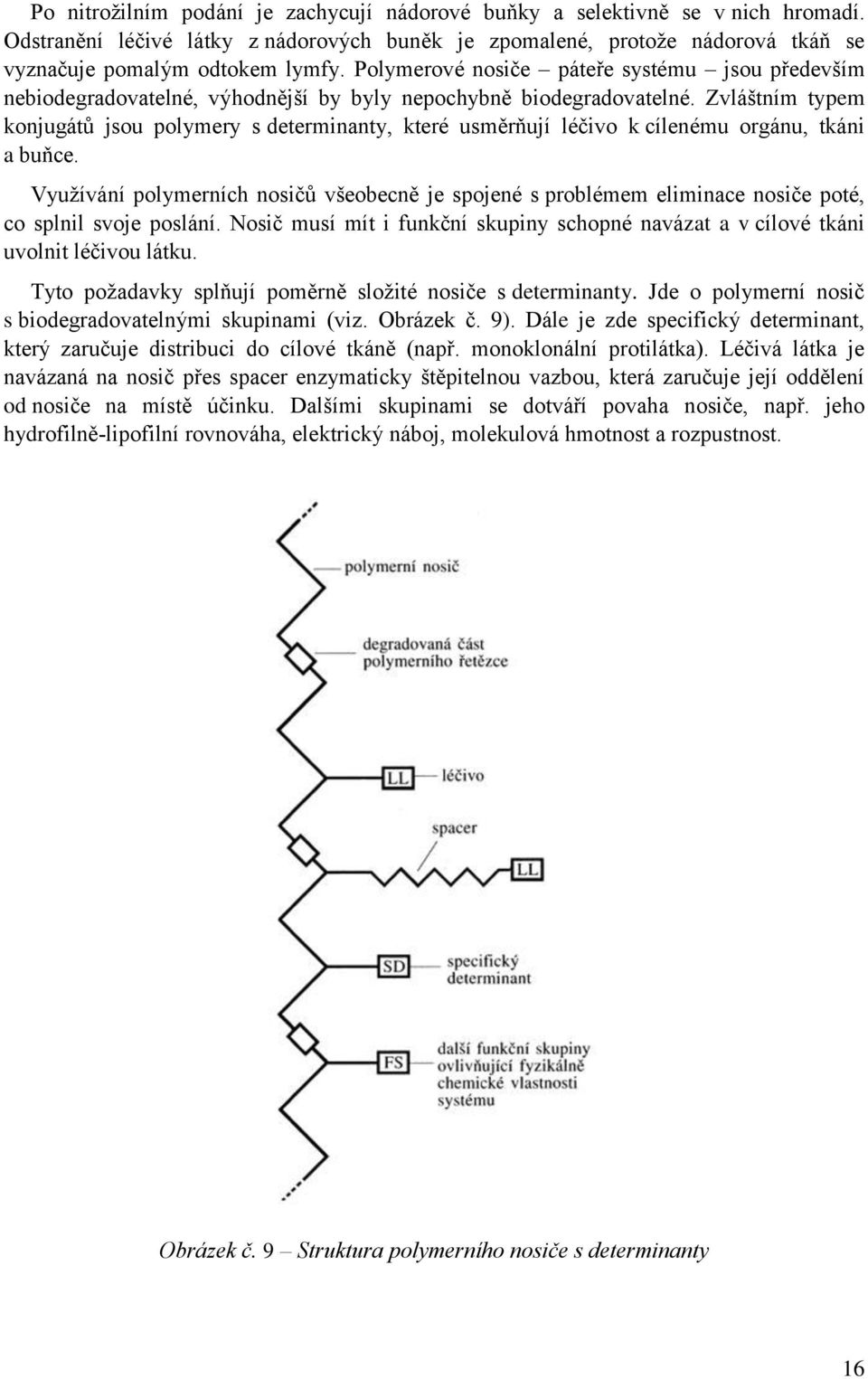 Zvláštním typem konjugátů jsou polymery s determinanty, které usměrňují léčivo k cílenému orgánu, tkáni a buňce.