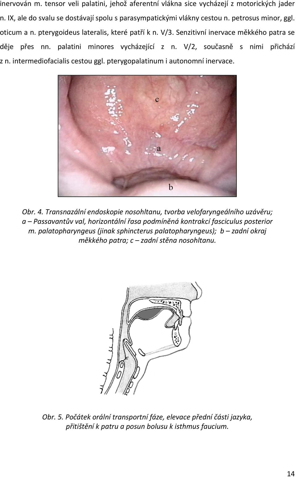 pterygopalatinum i autonomní inervace. Obr. 4. Transnazální endoskopie nosohltanu, tvorba velofaryngeálního uzávěru; a Passavantův val, horizontální řasa podmíněná kontrakcí fasciculus posterior m.