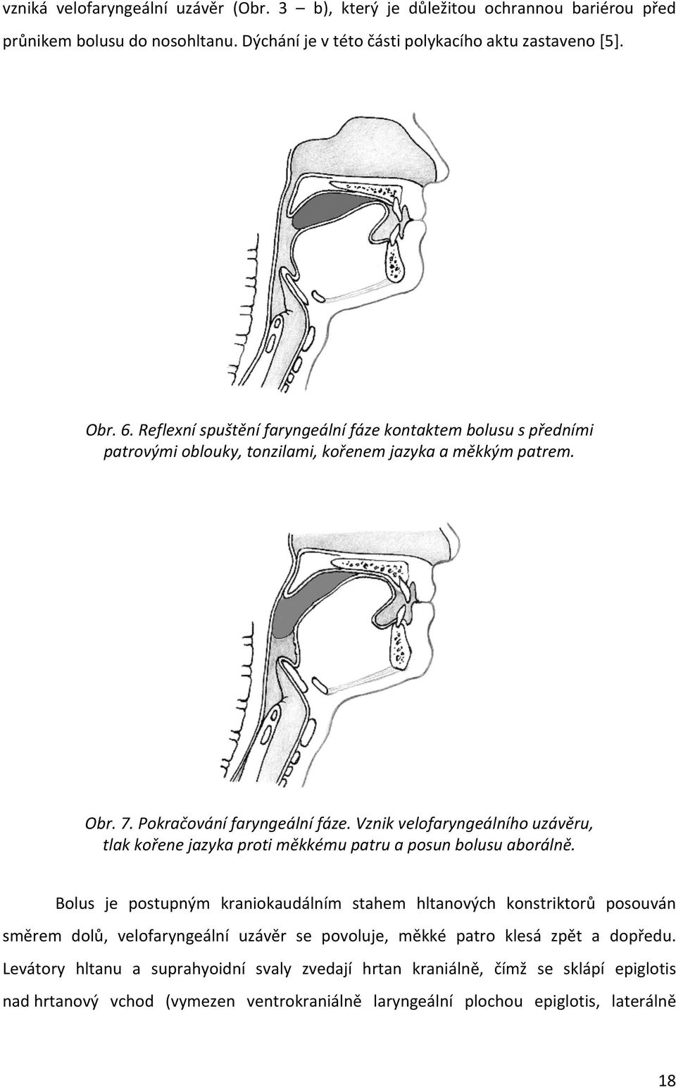 Vznik velofaryngeálního uzávěru, tlak kořene jazyka proti měkkému patru a posun bolusu aborálně.