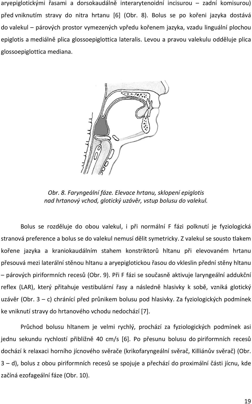 Levou a pravou valekulu odděluje plica glossoepiglottica mediana. Obr. 8. Faryngeální fáze. Elevace hrtanu, sklopení epiglotis nad hrtanový vchod, glotický uzávěr, vstup bolusu do valekul.