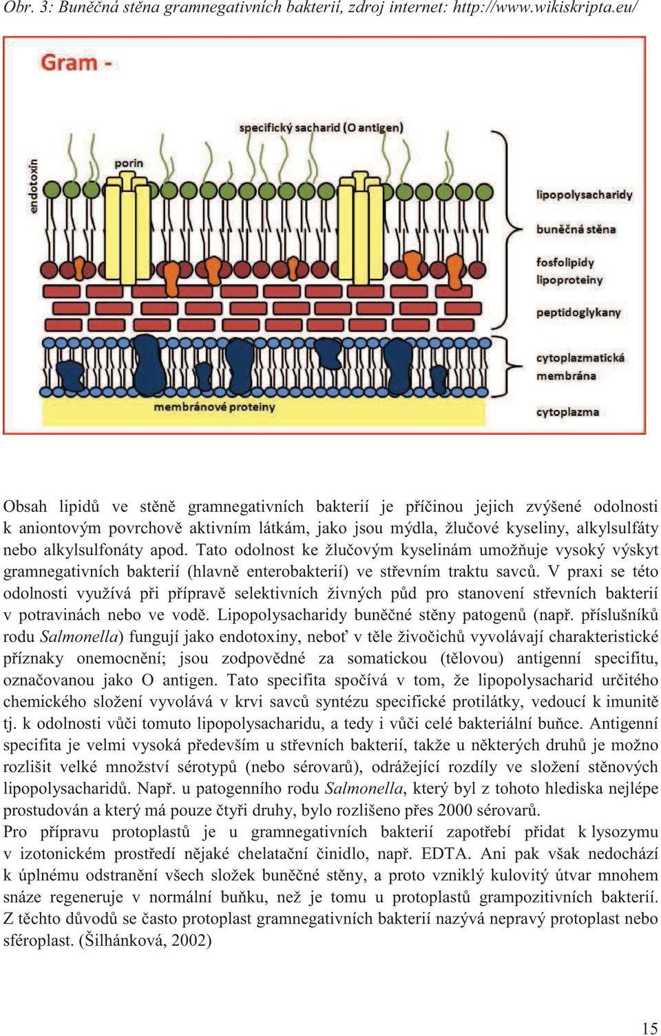 Tato odolnost ke žlu ovým kyselinám umož uje vysoký výskyt gramnegativních bakterií (hlavn enterobakterií) ve st evním traktu savc.